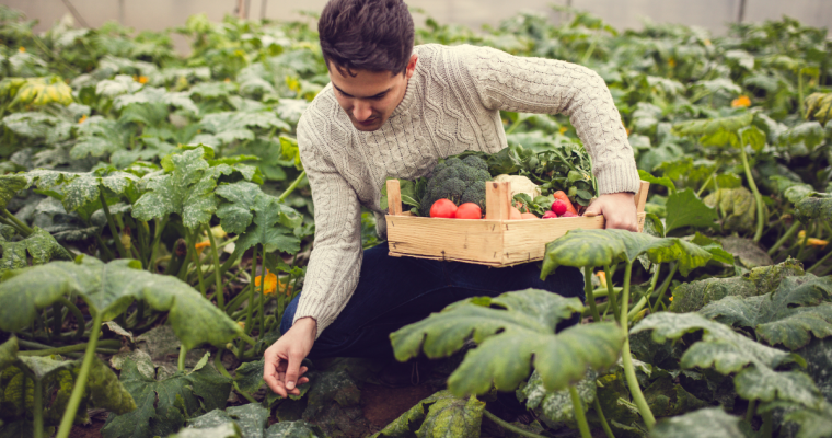 Vegan trends in 2025: ontwikkelingen in plantaardig eten