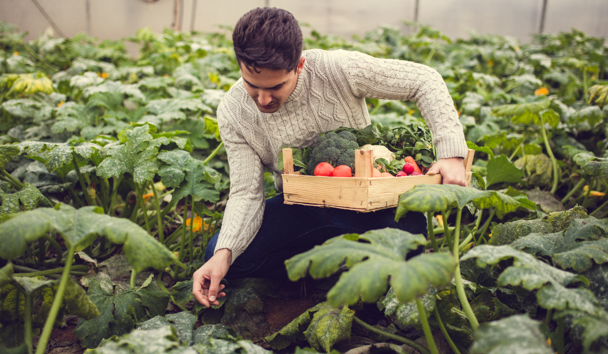 Vegan trends in 2025: ontwikkelingen in plantaardig eten
